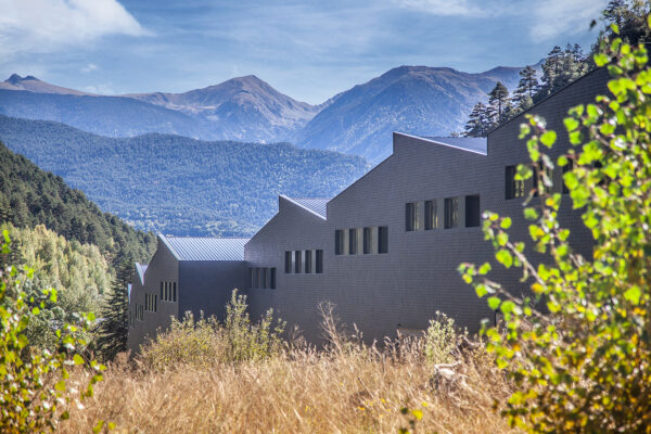 Imagen de Img 3151 mejorado nr